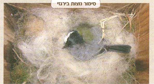 (בספר תרשים, היעזר במנחה)